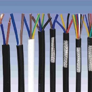 ������|����|���N��е�һ�N��ʲô�ǿ�����|��